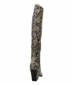 Dolce Vita Isobel Knee High Boot